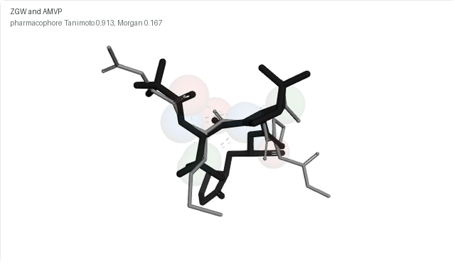 A rotating superposition of the co-crystal ligand ZGW and the peptide AMVP, with their shared pharmacophore features and top five triplets drawn