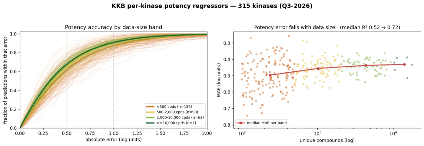 KKB per-kinase potency regressors