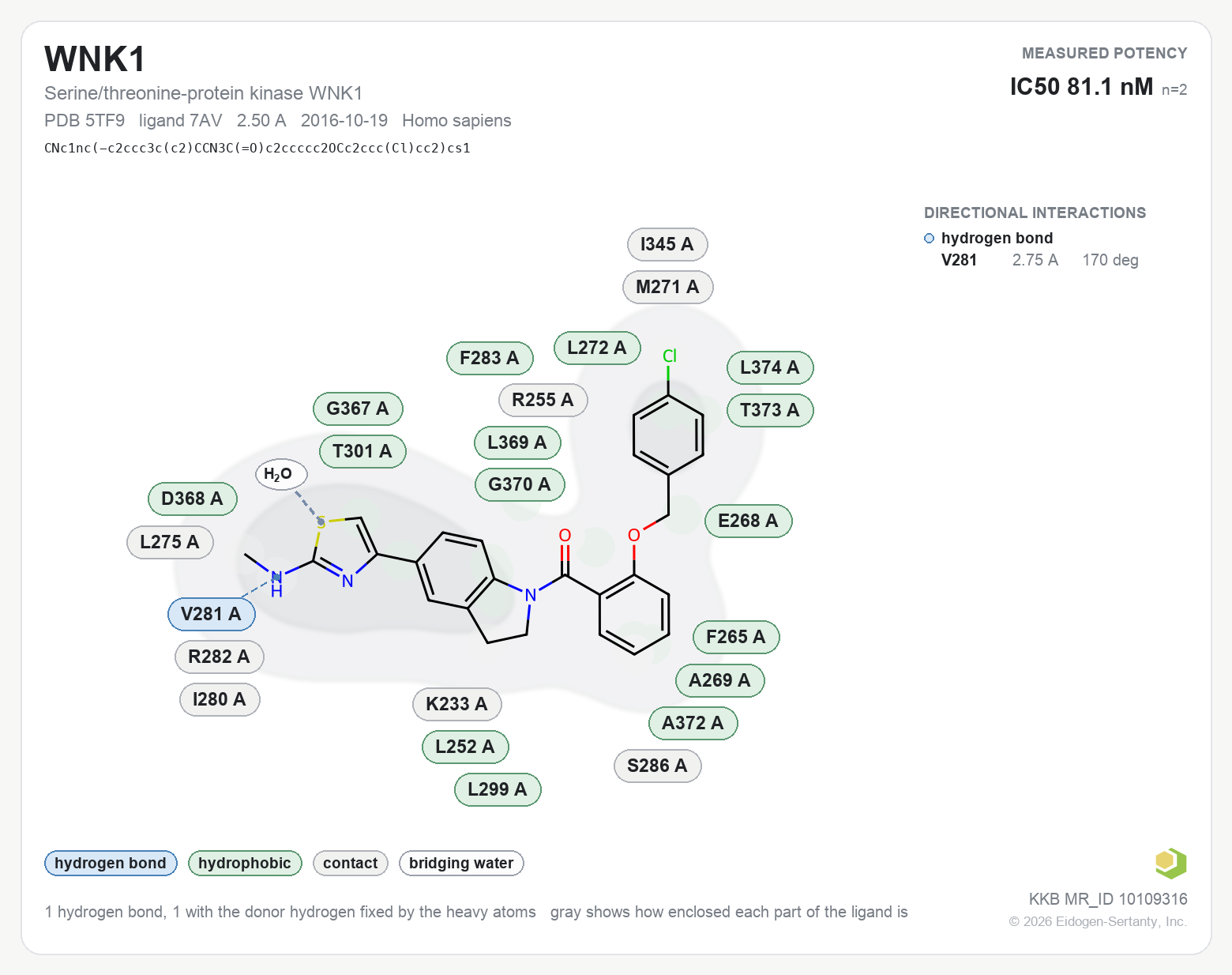 Contact map for WNK1 with ligand 7AV from PDB entry 5TF9, IC50 81.1 nM in the Kinase Knowledgebase, showing the measured interactions on the flat structure