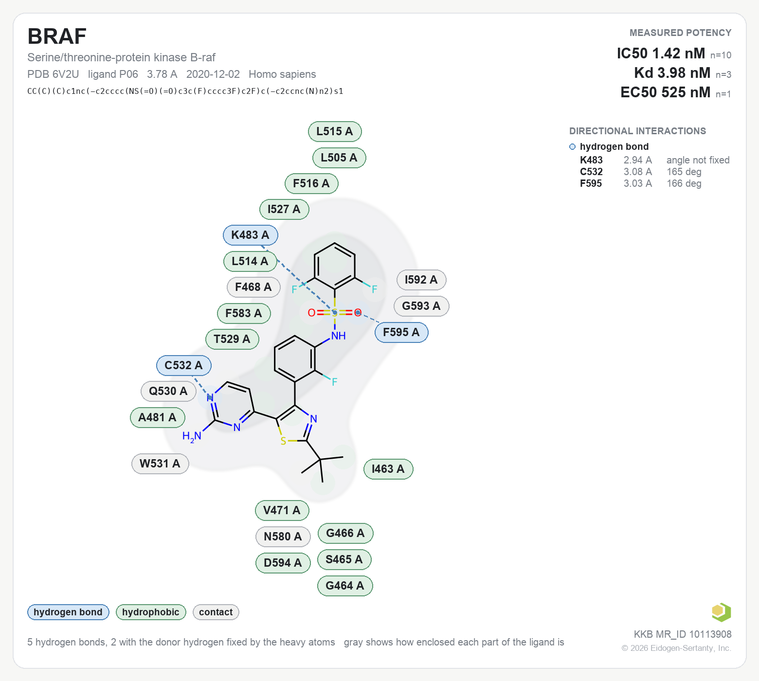 Contact map for BRAF with ligand P06 from PDB entry 6V2U, IC50 1.42 nM in the Kinase Knowledgebase, showing the measured interactions on the flat structure